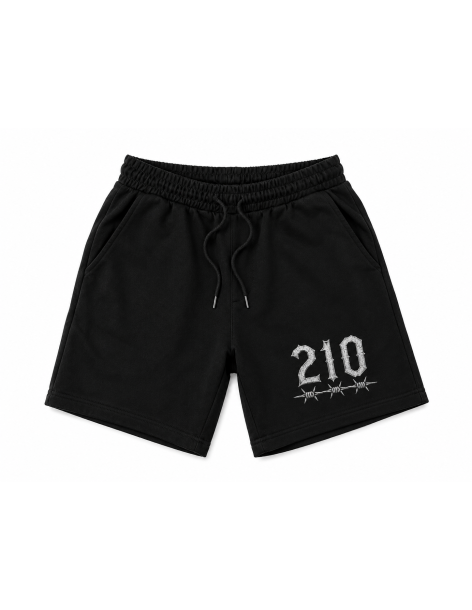 210 Shorts