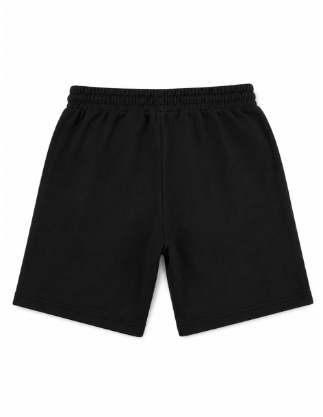210 Shorts 2